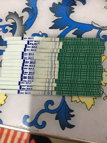 journal_insert_pic_989410637