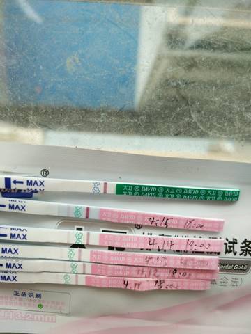 journal_insert_pic_990435256