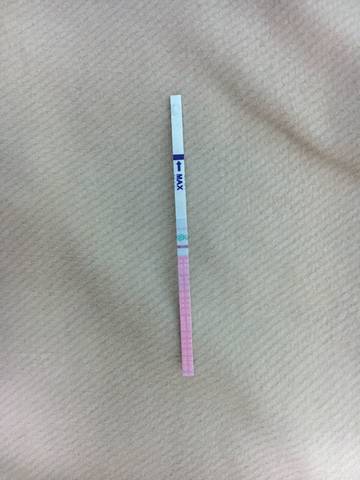 journal_insert_pic_992041541