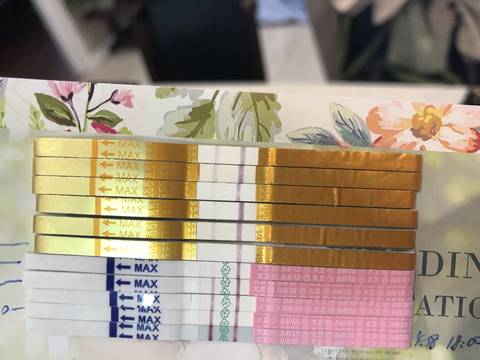 journal_insert_pic_992613796