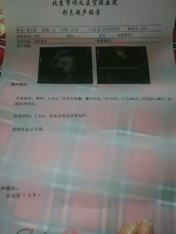 journal_insert_pic_993022767