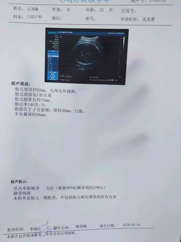 journal_insert_pic_993262598