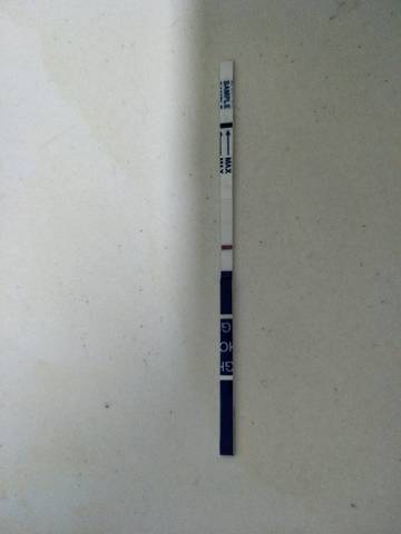 journal_insert_pic_994213035