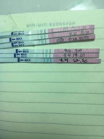 journal_insert_pic_994883889