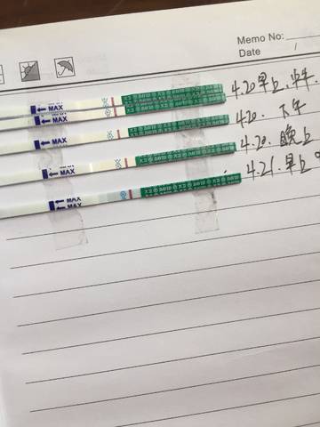 journal_insert_pic_994386249