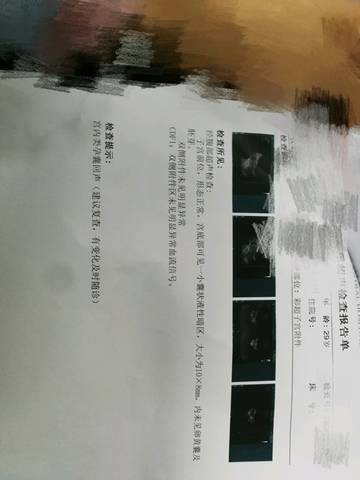 journal_insert_pic_995530339