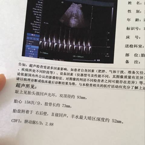 journal_insert_pic_995169419