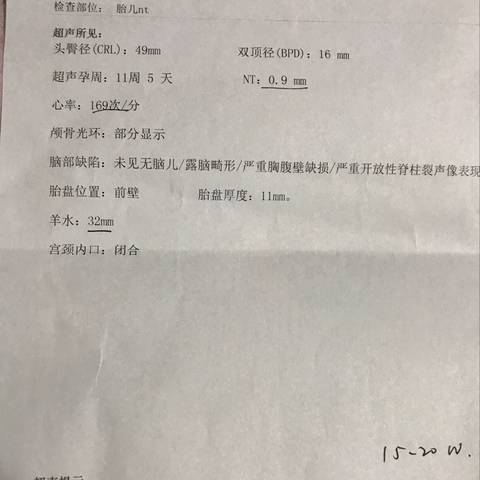 journal_insert_pic_996367116