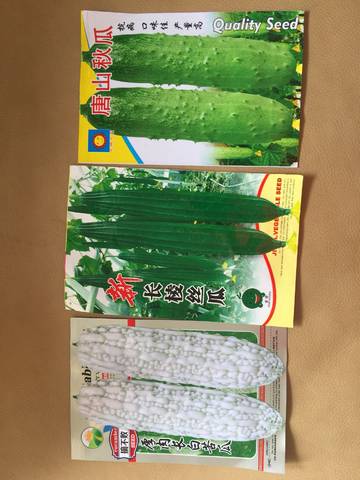 journal_insert_pic_996162515