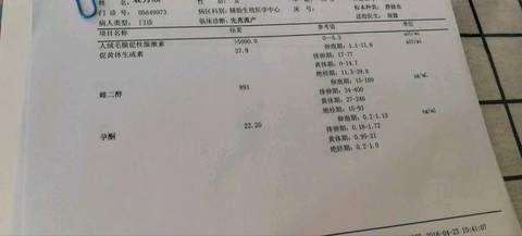 journal_insert_pic_996237001