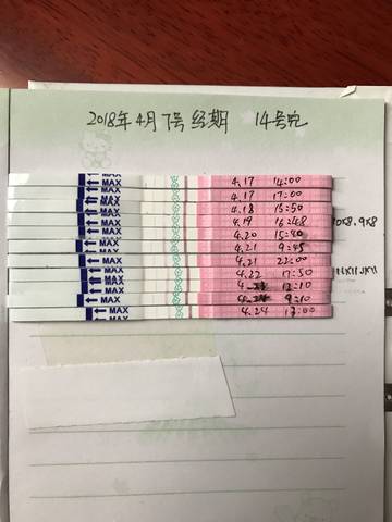 journal_insert_pic_997108688