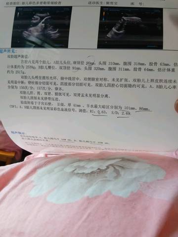 journal_insert_pic_997224146