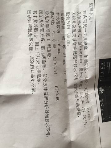 journal_insert_pic_997407767