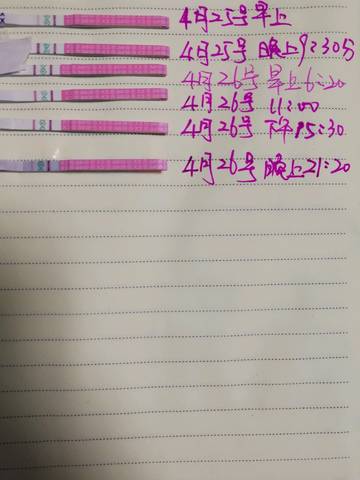 journal_insert_pic_998477542