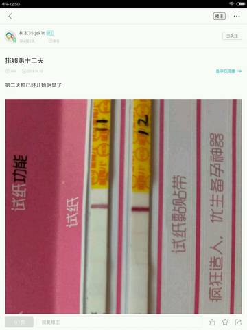 journal_insert_pic_998173624
