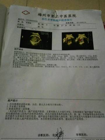journal_insert_pic_998650844