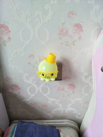 journal_insert_pic_998800487