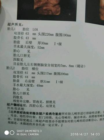 journal_insert_pic_999038034