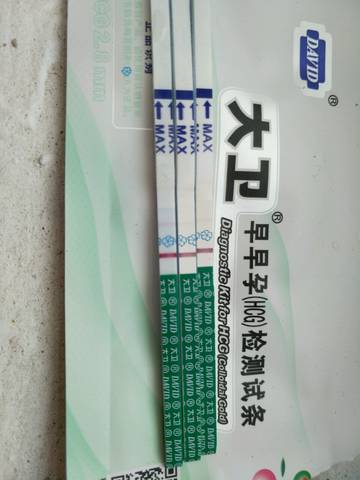 journal_insert_pic_999361926