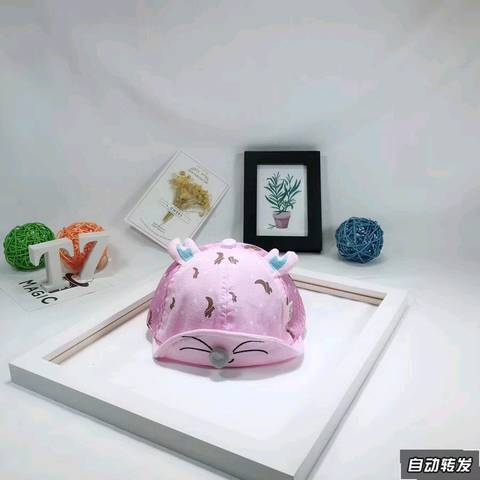 journal_insert_pic_1000790251