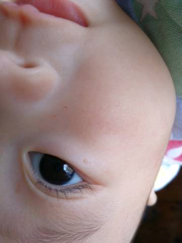 journal_insert_pic_1001641661