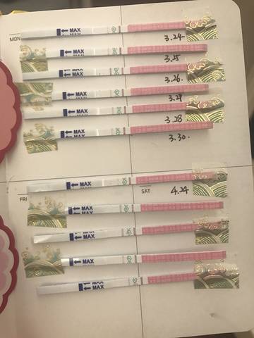 journal_insert_pic_1002165605