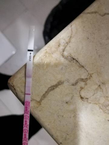 journal_insert_pic_1002732323