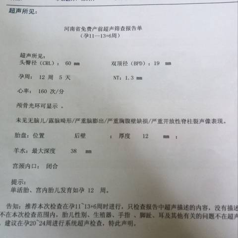 journal_insert_pic_1003526154