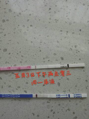 journal_insert_pic_1003591858