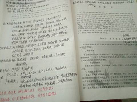 journal_insert_pic_1004133898