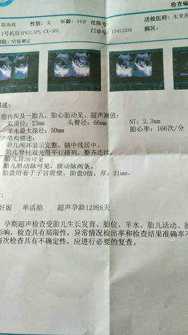 journal_insert_pic_1004339351