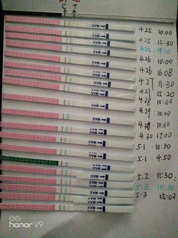 journal_insert_pic_1005036197