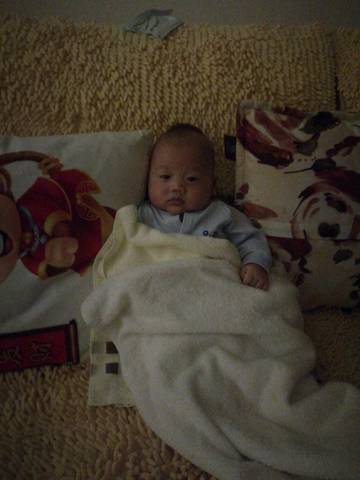 journal_insert_pic_1004717657