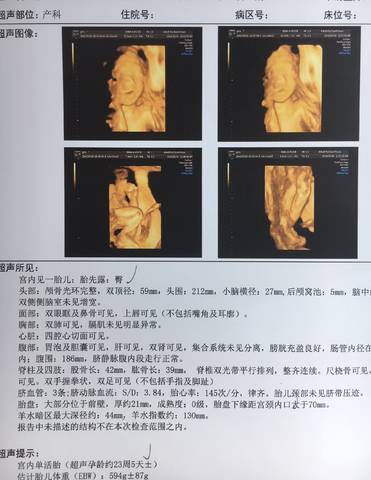 journal_insert_pic_1004737699