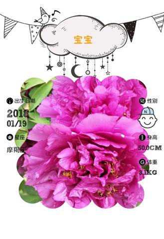 journal_insert_pic_1004988158