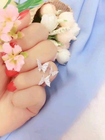 journal_insert_pic_1005720400