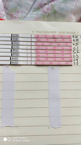 journal_insert_pic_1005409809