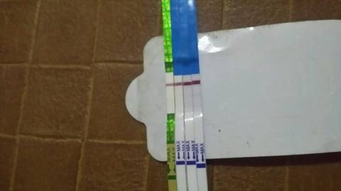 journal_insert_pic_1005436449