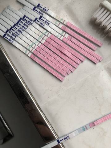 journal_insert_pic_1005835868