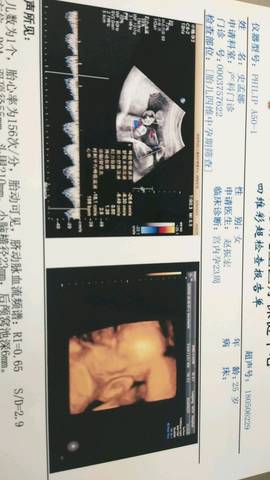 journal_insert_pic_1006430756
