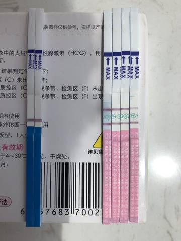 journal_insert_pic_1006428889