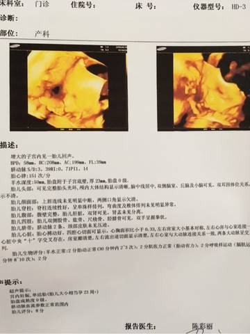 journal_insert_pic_1006871373