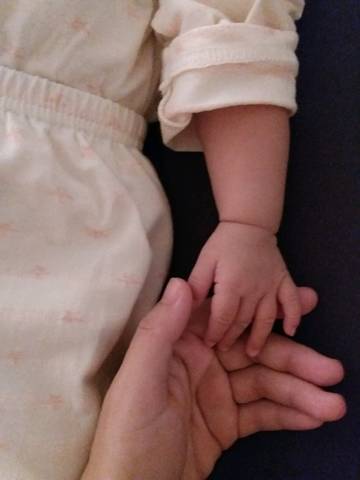 journal_insert_pic_1006751739