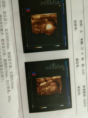 journal_insert_pic_1007204433