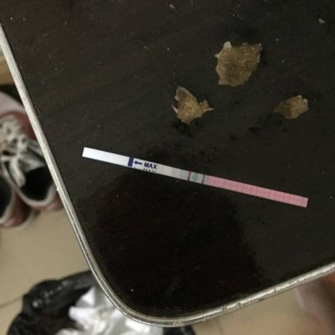 journal_insert_pic_1007419360