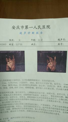 journal_insert_pic_1009278941