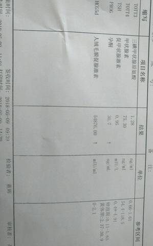 journal_insert_pic_1009451230