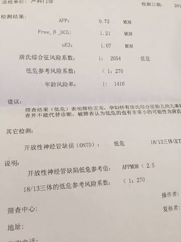 journal_insert_pic_1010795919