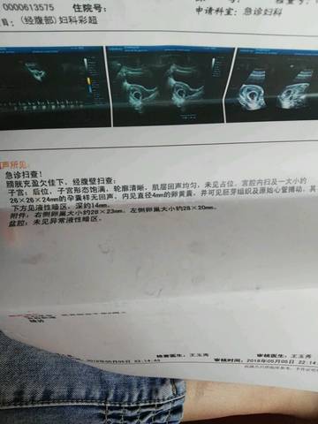 journal_insert_pic_1010871352