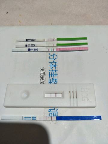journal_insert_pic_1011744284